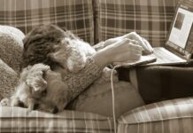 바쁜 일상 속 스트레스, ‘작은 루틴’으로 풀다 a dog laying on a couch