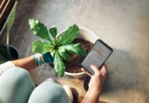 일상 속 스트레스, 똑똑하게 관리하는 생활 습관이 뜬다 Person planting a houseplant and checking phone