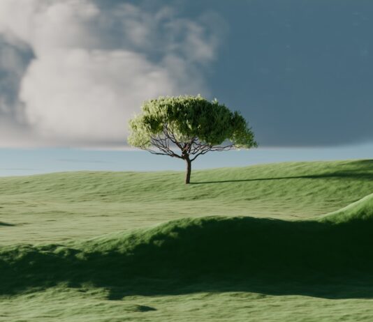 ‘마음챙김’ 라이프 스타일, 스트레스 관리와 건강 증진에 도움 A single tree on a vibrant green rolling hill.