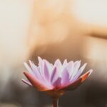 “하루 한 번 뇌 건강 챙기기, 일상 속 작은 변화가 지키는 두뇌 활력” shallow focus photography of purple flower